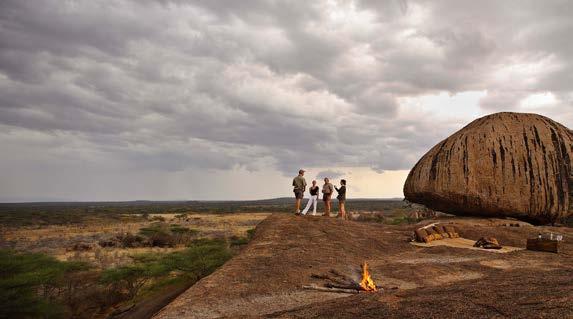 Mwiba Tented Camp: Artfully perched above a collection of 5 natural springs on a ridge of granite kopjes, set among acacia woodlands.