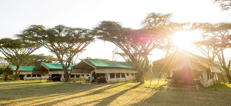 Activities Sanctuary Serengeti Migration Camp offers guests the opportunity to experience the great migration all year round!