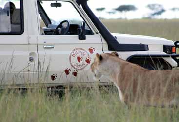 The Best Safari Company in East Africa WILDLIFE SAFARI head office at Serengeti House in suburban Nairobi, Kenya, is the base for Tom Fernandes and his experienced team of safari consultants,