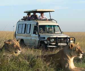 WILDLIFE SAFARI is one of the few safari operators who owns and operates its entire fleet of custom built 4WD safari vehicles.