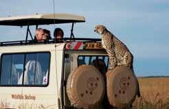 Kenya - A Sampl e Incentive Safari Day 1 Arrive in Nairobi where you will be assisted and transferred to your luxury hotel. Welcome briefing at your hotel with the afternoon at leisure at your hotel.