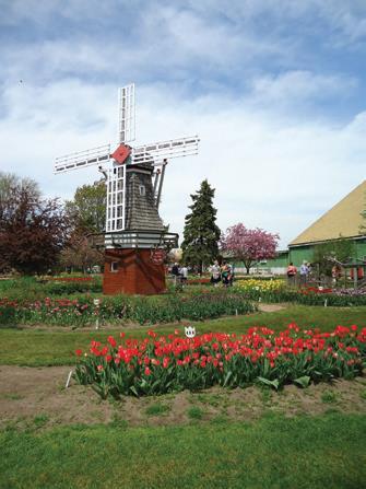 package to include a night of rooms on the island HOLLAND, MICHIGAN May is Tulip time in Holland with other gardens to discover in the summer months Suggested Tour Length - 2 or 3 Days Attractions