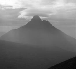 Section 1: The Albertine Rift Mount Mikeno in Virunga Park, DRC., A.J. Plumptre, WCS A.J. Plumptre 1.