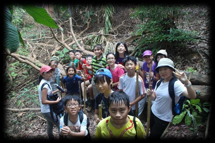Activities Jungle Trekking - At least two