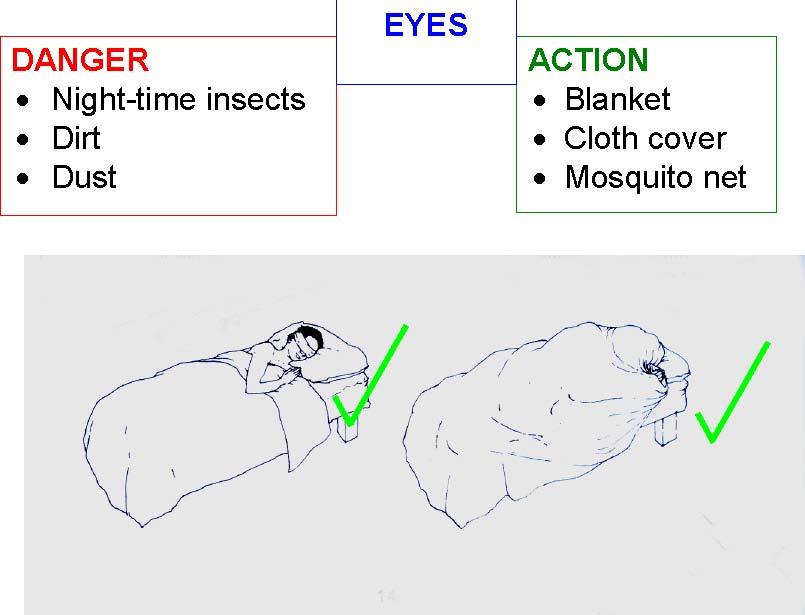 Danger Night-time insects Dirt Dust Eyes Action