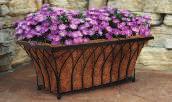 Mount to wall or deck rail for a stunning floral display.