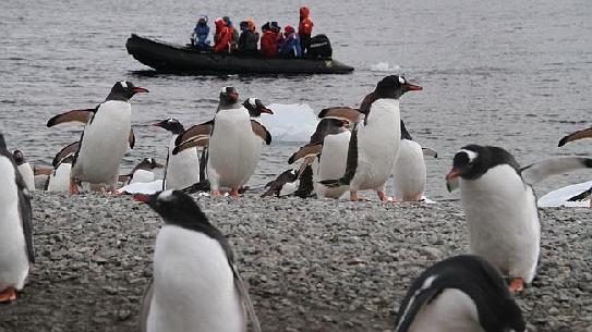 ANTARCTIC ADVENTURE 15 Day Fly, Cruise, Tour & Stay from $12,299 per person twin share This price includes airport taxes & levies This special price includes: Air fares with Qantas and Latam Airlines