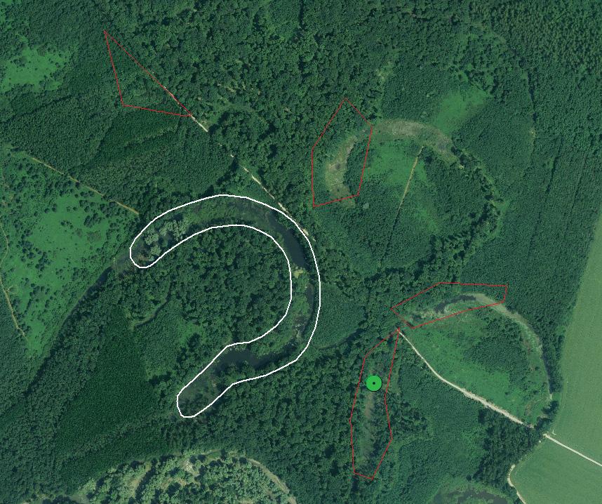 Mrtvica Sakastaš Območje naravovarstvenega ukrepa Slika 2: Lokacija popisov (območje mrtvice Sakastaš), identificirani primerni vodni habitati za velikega pupka (rdeča črta) ter območje izvedbe