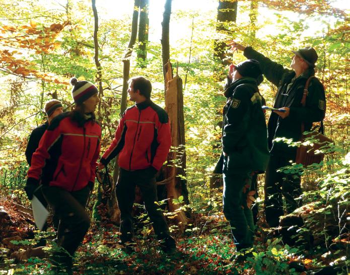 Slika 1: Strokovno posvetovanje z lastniki gozdov na terenu (foto: A. Schabel). Upravljavski načrti za gozdne površine Natura 2000 Skoraj vsa območja Natura 2000 vključujejo gozdove.