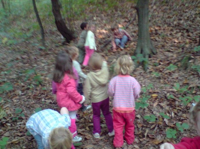 Slika 2: abiranje pravega kostanja Otroci so v gozdu bili v pristnem stiku z naravo. Z vsemi čutili so lahko eksperimentirali s pravim kostanjem ter tudi z ostalimi naravnimi materiali.