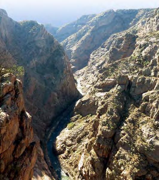 The Royal Gorge Recreation Area As recommended in the Vision Plan, an active recreation area could be created at the Royal Gorge Park.