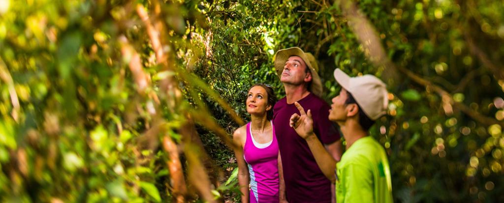 TREKKING IN THE JUNGLE Trekking is an exclusive activity that can be only found during