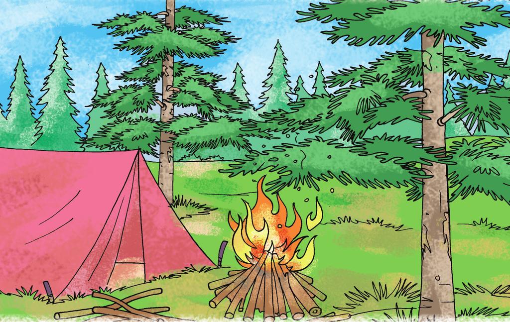 Preventing Wildfires by Designing a Safe Camp Campfires can be wonderful. They can keep you warm, help cook your food, and make a campsite cheery and bright, but campfires must be built safely.