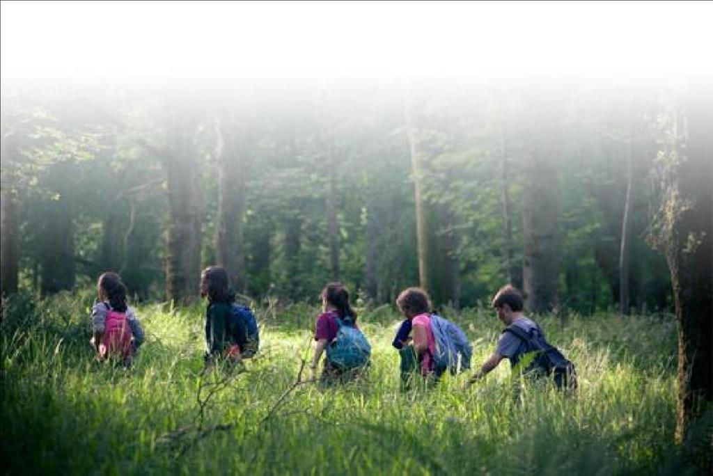 Time spent living in the wild offers a fantastic opportunity for students to interact away from the distractions of everyday school life, taking them out of their comfort zones and encouraging both