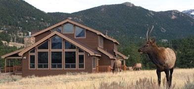 YMCA OF THE ROCKIES IS YOUR GATEWAY TO NATURE It s not uncommon to see ELK, BIG HORN SHEEP, AND MARMOTS YMCA of the Rockies Estes Park Center