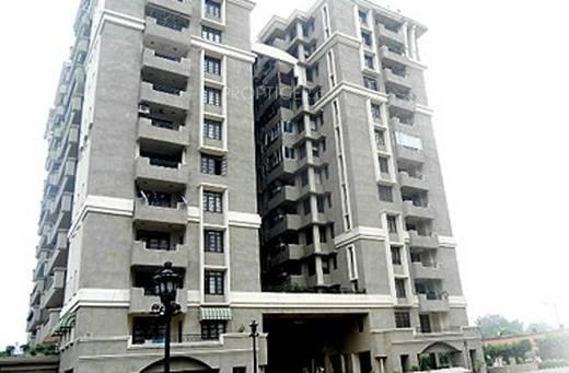8 Sector 39, Faridabad Project was delivered on