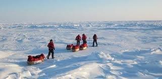 After introductions, we prepare for the journey by running a 5 day Polar Training Program to get the group skilled in all of the techniques that you will use on the expedition.