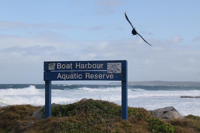 Aquatic Reserve sign, Kamay Botany Bay National Park Merries Reef, Boat Harbour Aquatic