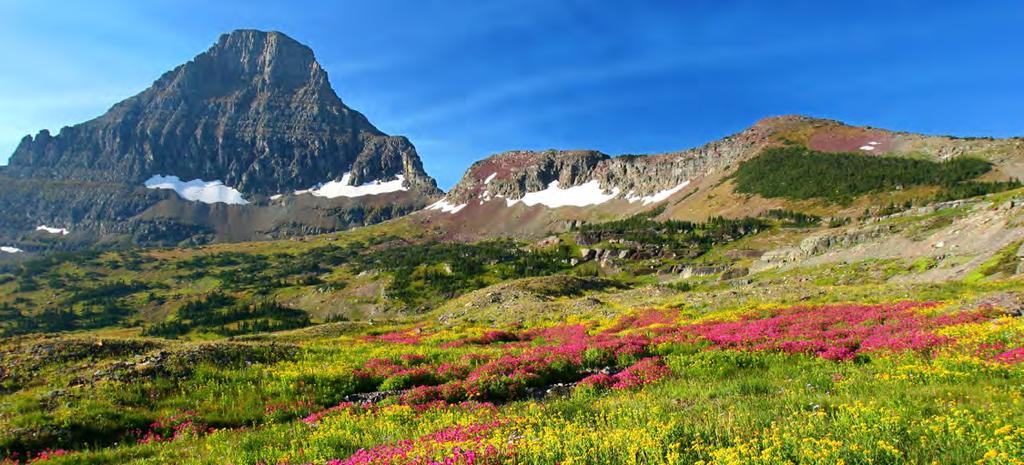 Discover Montana s spectacular culture via West Yellowstone, Mont., as you point your wheels north to Glacier National Park. In Big Sky, you ll find adrenaline-filled activities.