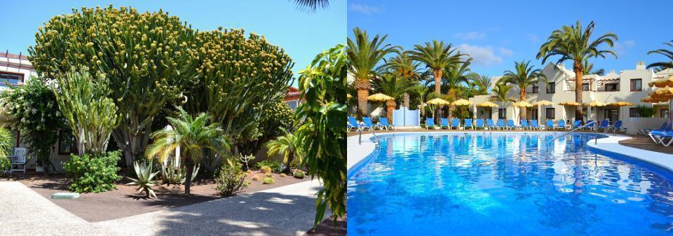Pools and gardens The hotel has 7 pools suitable for all ages: - Relax Pool (from 16 years) / Plaza Pool/ Activity Pool / Tropic Pool / Splash Pool for babies/ Kids Pool and the