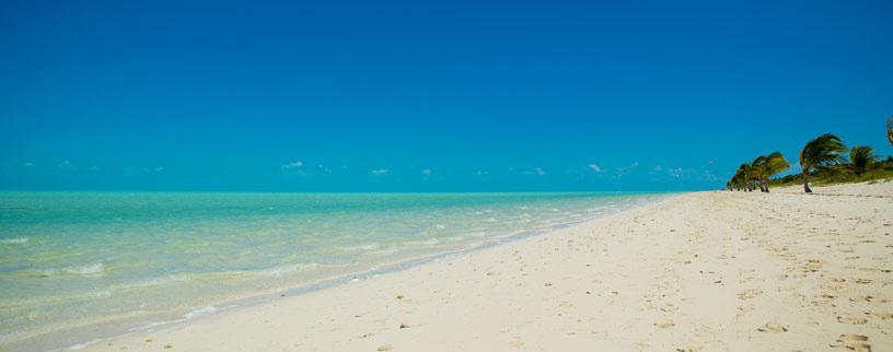 And Be Sure to Check Out Other Awesome Beaches on Providenciales When booking vacations here in Turks and Caicos Islands, we re frequently asked about what the best beaches in Providenciales (Provo)