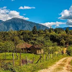 Travel to the coffee growing region, and continue towards the archaeological zone of San Agustín.