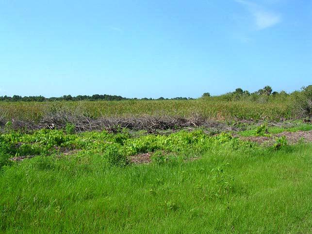 St. Andrews Lane Invasive Exotic Plant Control County: Charlotte, Lee PCL: Charlotte Harbor State Buffer Preserve PCL Size: 43,614 acres Project Manager: Office of Coastal and Aquatic Managed Areas
