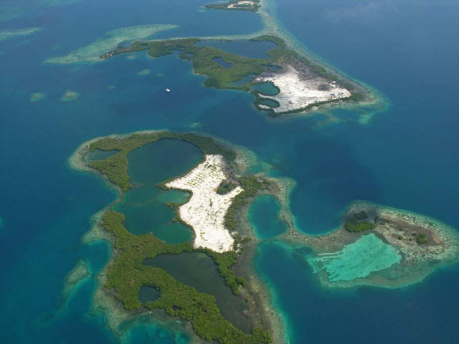 April 2007 Extensive loss of mangroves occurred on Fisherman s and Manatee s Cayes between April 2006 and 2007.