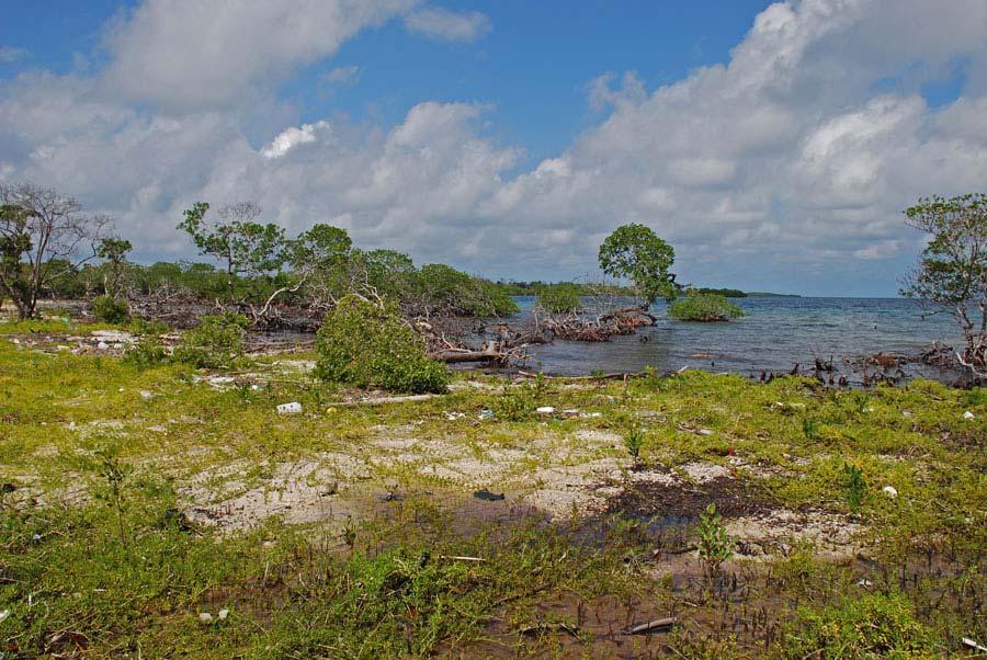 October 2007 ~25 m In the 6 months since the small mangrove island Manatee Cay was cleared and filled, the shoreline has eroded approximately 25 meters.