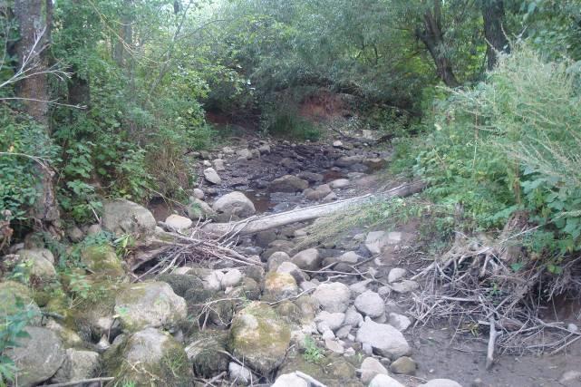 3. Šiladžio upę įvertinus natūroje, nustatyta, kad natūralizuotiname ruože ties žiotimis Šiladžio upė išdžiūvusi (žr. II.6.2. pav.).
