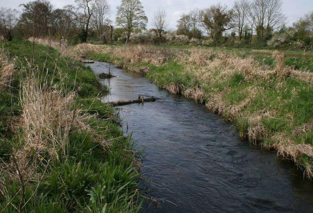 Tai vienos dažniausiai naudojamų priemonių upių atstatymo projektuose. Jų pritaikymas galimas esant įvairioms sąlygoms morfometrinėms sureguliuotos upės sąlygoms.