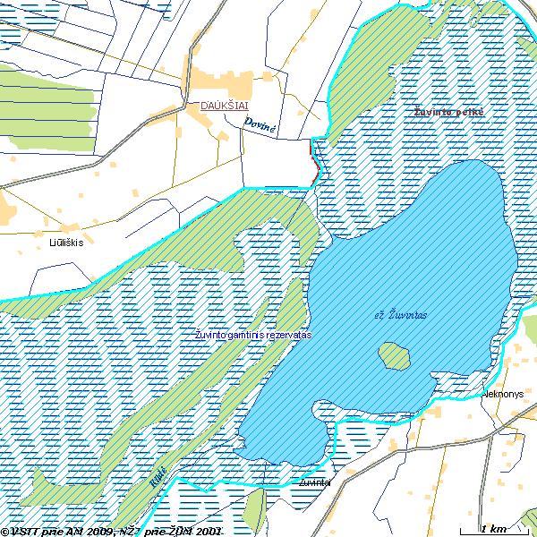 Greta Dovinės upės renatūralizuojamos atkarpos yra įkurtas Žuvinto gamtinis rezervatas. Nuo nagrinėjamos atkarpos jis nutolęs 0,9 km. (II.8.2.4. pav.) 0,9 km II.8.2.4. pav. Žuvinto gamtinis rezervatas (www.