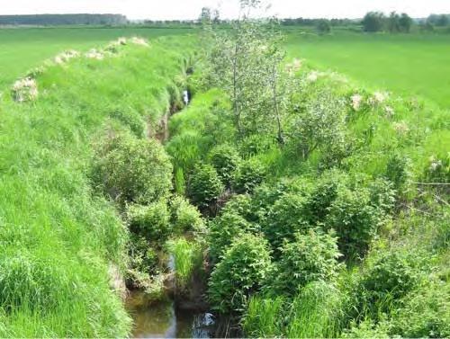 Kai kuriose atkarpose vietoj to, kad sumažinti vagos profilį, yra sumetami akmenys taip suteikiant pačiai upei daugiau gamtinės įvairovės.