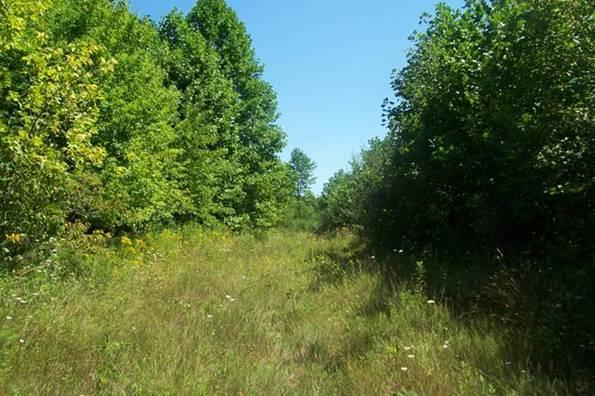 History The Braceville Nature Preserve site was purchased in 2006 by the Trumbull County Commissioners through the county s Planning Commission, which had targeted the land for conservation because