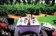 nestles within one of Tanzania s largest working coffee plantations.