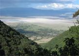 The scenery and birdlife are Lake Manyara's major attractions, with the lake being perfectly located to offer spectacular views along the Great Rift Valley.