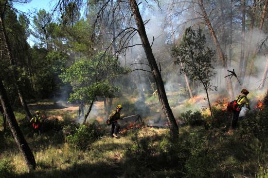 Prescribe burning in risk areas is used to reduce fuel in the forest and prevent larger incidents. Thru the map system the can access information regarding previous burns and were they was performed.