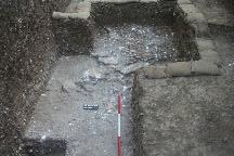 Square 42 yielded the remains of a possible massive wall (Wall 42009) with a rubble core, damaged when it was robbed in antiquity.