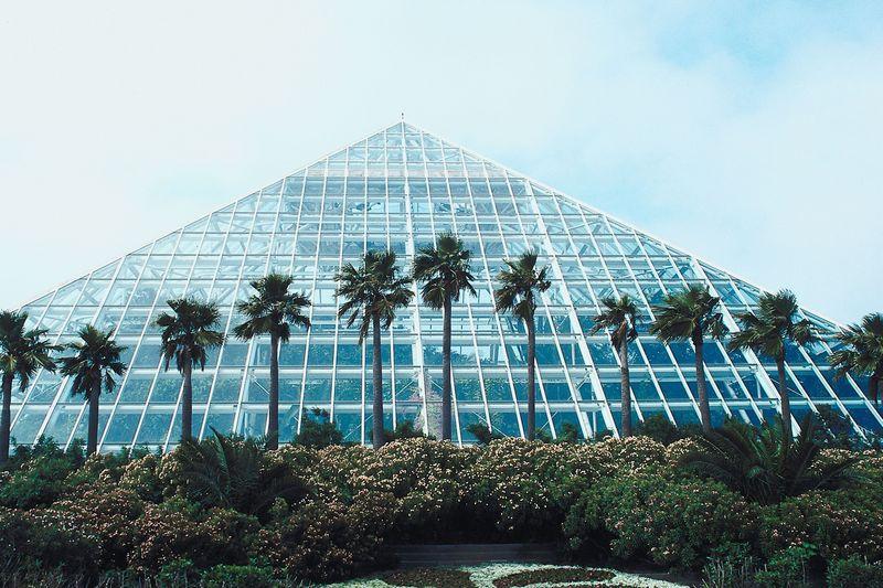 The pyramid shape has been popular with architects around the world. The Rainforest Pyramid in Galveston, Texas, is a ten-story glass building. It is a home for rainforest plants and animals.