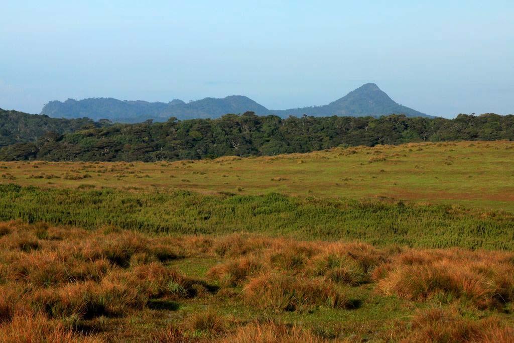 Central Highlands of Sri Lanka World Heritage Site [Year] Management Plan for