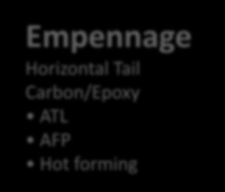 Fiberglass Sandwich panels Outboard Flap Carbon/Epoxy ATL Hot