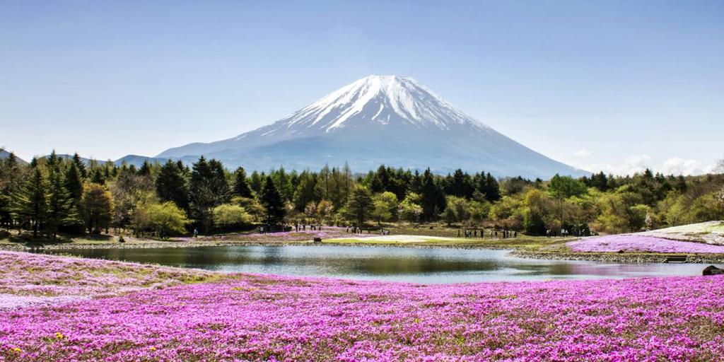 8 days Tokyo to Kyoto or Tokyo Discover the best of Japan in just 8 days.