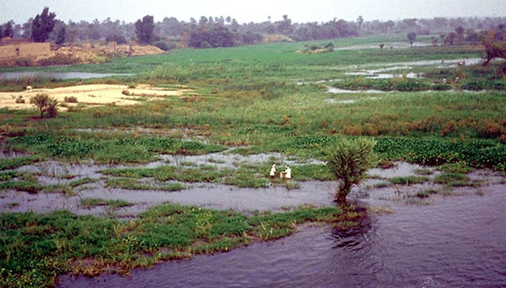 For centuries, THE NILE RIVER FLOODED THE VALLEY, enriching the land with a thick layer of sedimentary soil.