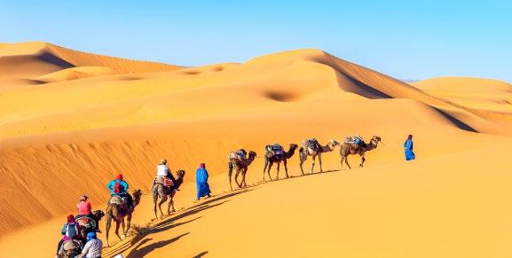 COLOURS OF MOROCCO $ 4399 PER PERSON TWIN SHARE THAT S % 43 OFF TYPICALLY $7699 MARRAKECH CASABLANCA FEZ TINGHIR OASIS AIT BEN HADDOU THE OFFER Discover the real Morocco on this 18 day adventure of a