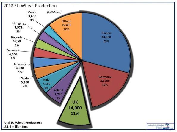 7.3. SAD Sjedinjene Države je treći po veličini proizvođač pšenice u svijetu. U prosjeku, Sjedinjene Američke Države proizvode 62.550000 t pšenice.