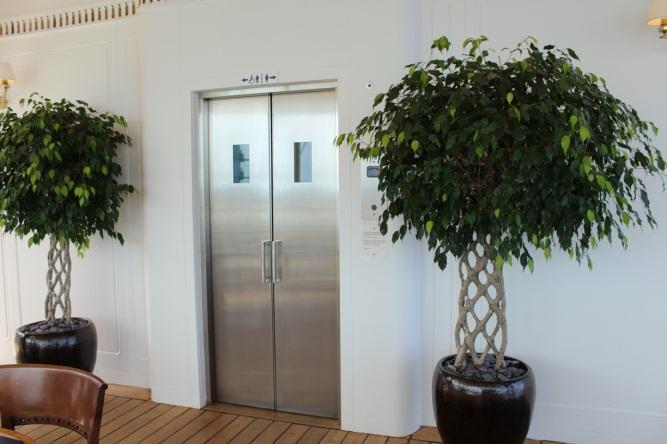 This lift offers access to the Royal Deck Tea Room,