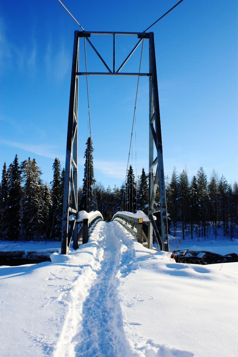 ROVANIEMI: WINTER EXCURSIONS FOR INDIVIDUALS Excursons/ Transfers Included 1-3 persons Price 4-8 persons 9-25 persons Polar explorer Icebreaker Transfer Rovaniemi-Kalix-Rovaniemi, excursion on the
