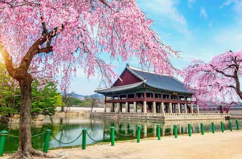 Gyeongbokgung Palace with Cherry Blossom. 14.1 Introduction 14.1.1 Basic facts The Republic of Korea's capital, Seoul, is a unique blend of ancient and modern city full of character and merit.