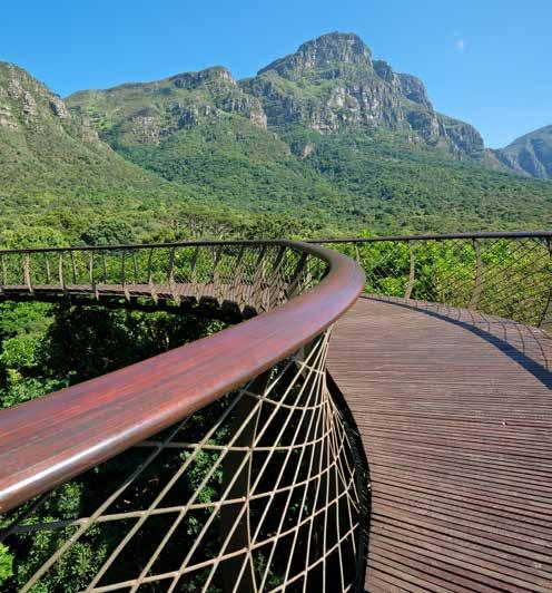 Elevated walkway in the Kirstenbosch Botanical Gardens. Chapter 15 Endnotes 1 DI & GIS Department, City of Cape Town (2016), State of Cape Town report 2016, CoCT, Cape Town.