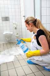 4 Fields of application The products for professional cleaning are suitable for a wide range of applications.